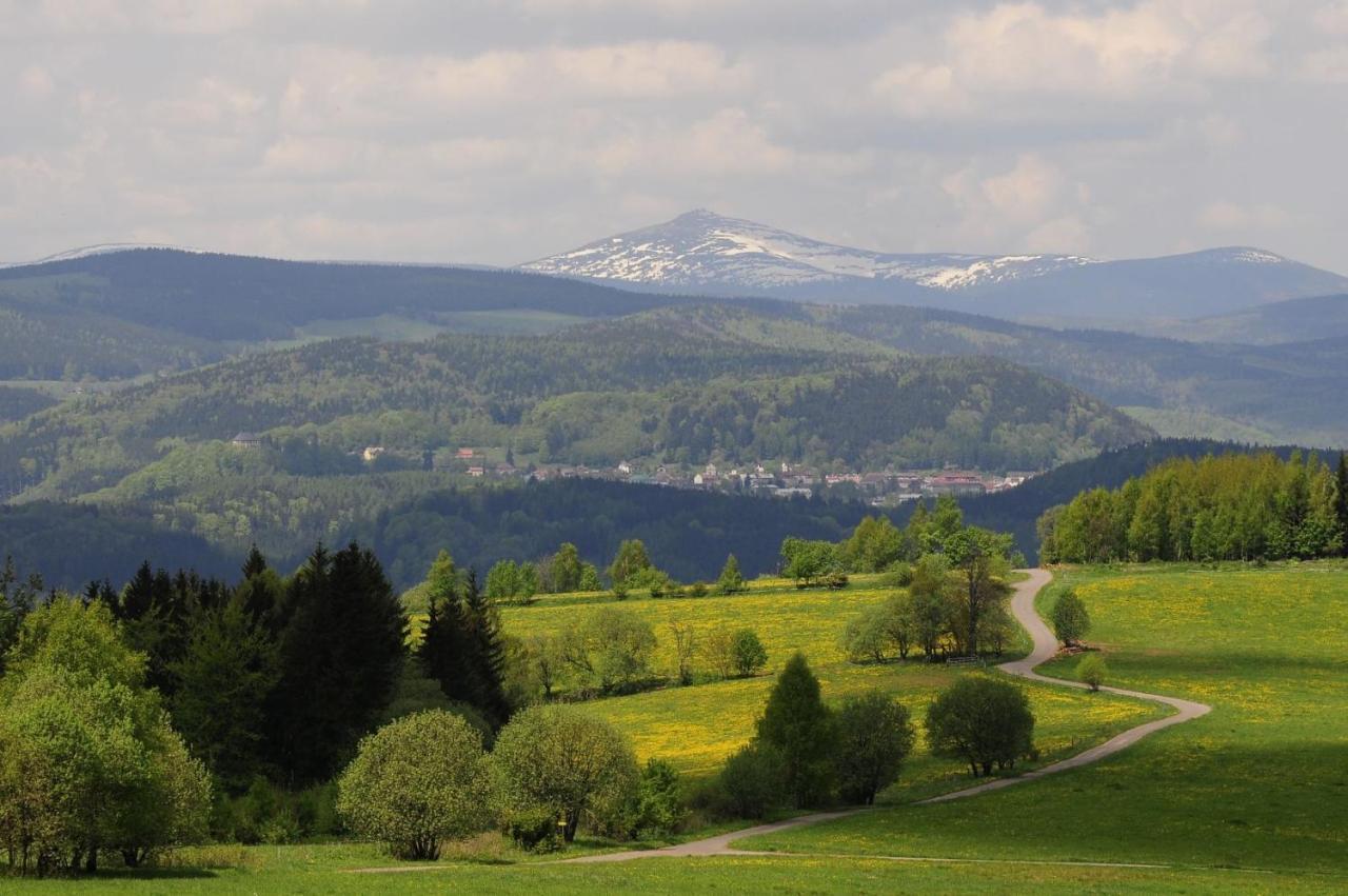 Apartman Na Svahu, Krkonose Žacléř Eksteriør billede