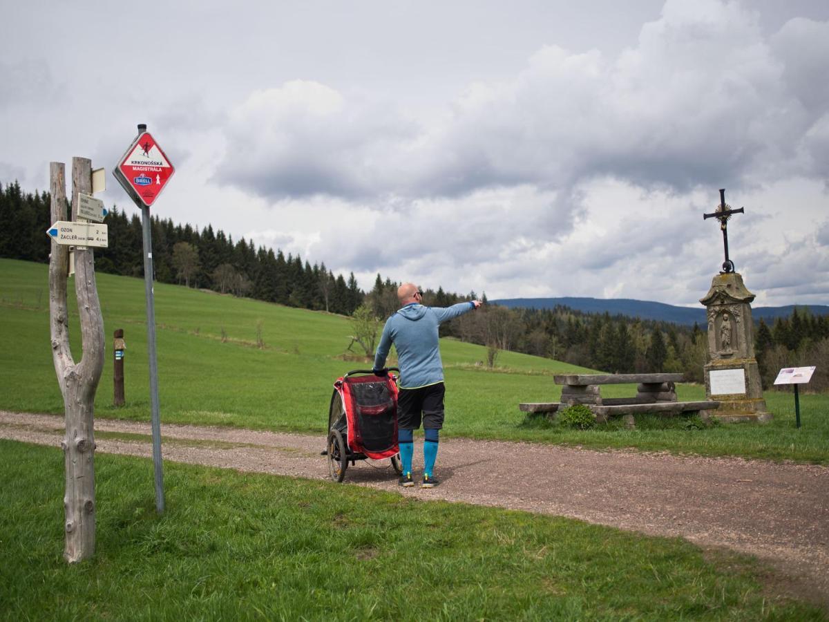 Apartman Na Svahu, Krkonose Žacléř Eksteriør billede