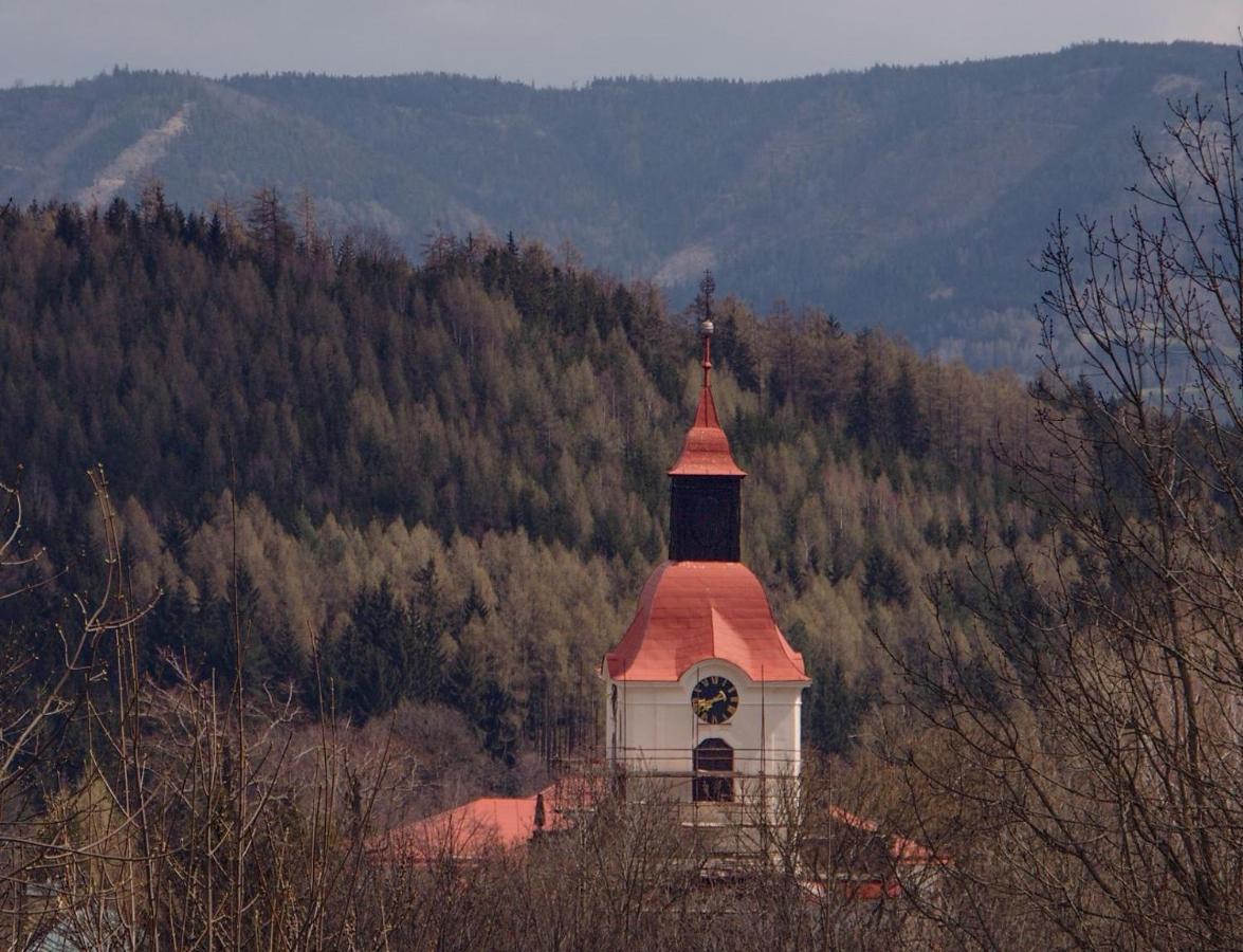 Apartman Na Svahu, Krkonose Žacléř Eksteriør billede